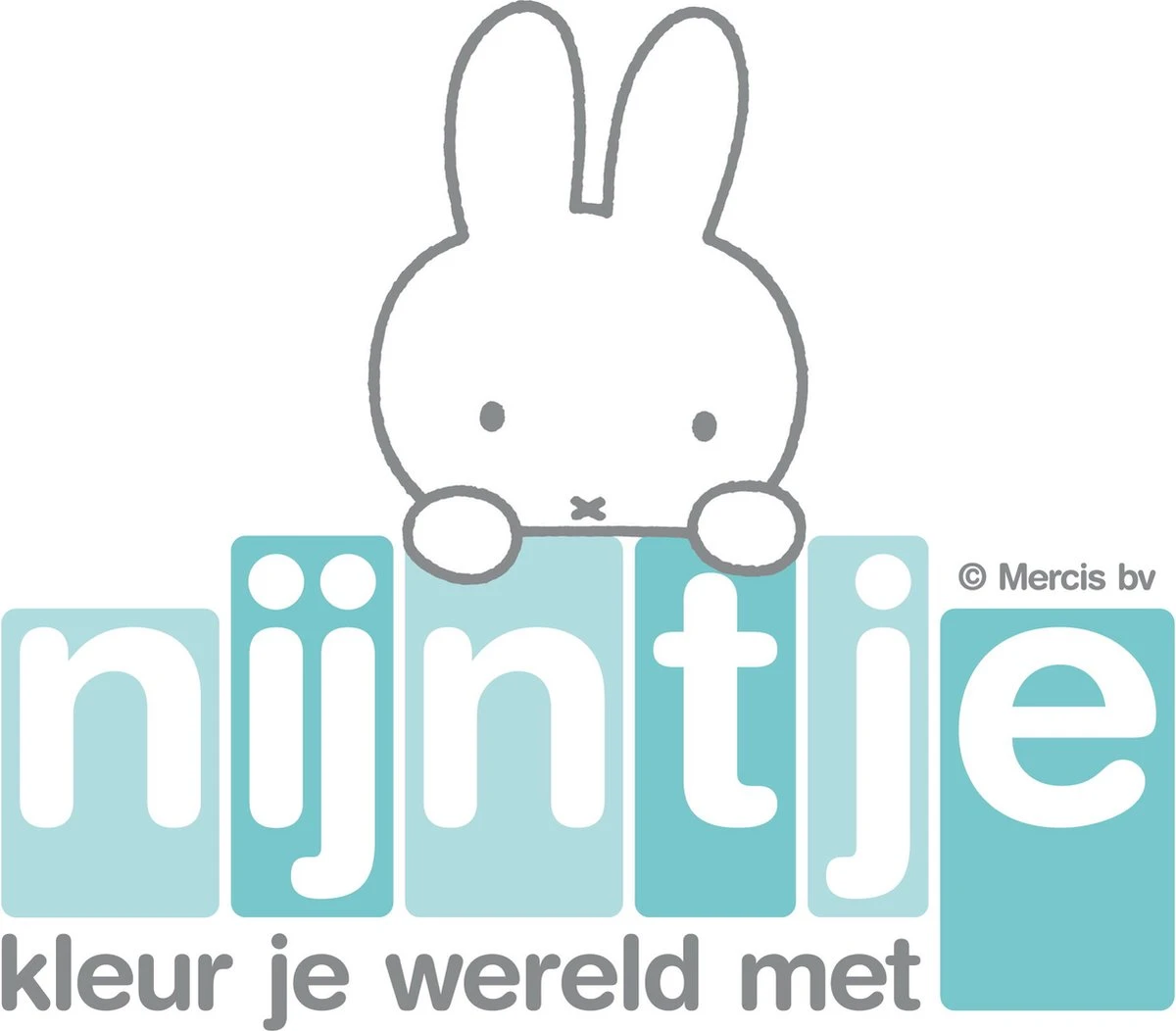 Nijntje Groen Juice Box Pakjeshouder 12911 4 Nijntje Groen Juice Box Pakjeshouder 12911 - Afbeelding 2