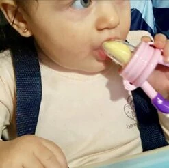 2x Fruitspeen Kinderbestek - Speen Babyvoeding Roze/Paars -BIBS Shop 1200x1193 1