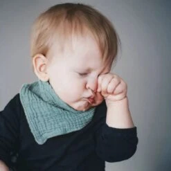 7 Stuks Hydrofiele Bandana Slabbetjes - Blauw - Groen - Wit - Grijs -BIBS Shop 1200x1200 192