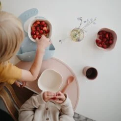 Mushie Siliconen Baby Slabber Met Opvangbakje - Woodchuck -BIBS Shop 1200x1200 242