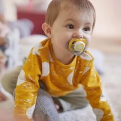 Philips Avent Ultra Air Lemon SCF080/18 - Fopspeen - 6-18 Maanden - 2 Stuks -BIBS Shop 1200x1200 404