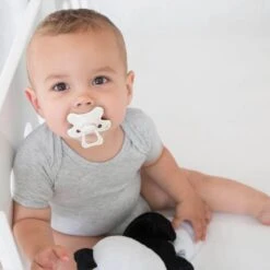 Difrax Fopspeen 12+ Maanden Natural Speen - Crèmewit/Popcorn - 2 Stuks 15 Difrax Fopspeen 12+ Maanden Natural Speen - Crèmewit/Popcorn - 2 Stuks -BIBS Shop 1200x1200 447