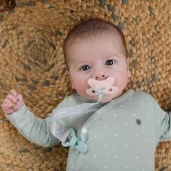 Fopspeen Difrax Newborn Natural Pure | Blossom Roze 18 Fopspeen Difrax Newborn Natural Pure | Blossom Roze -BIBS Shop 1200x1200 472