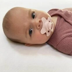 Difrax Fopspeen 12+ Maanden Dental - Lichtroze/Blossom - Orthodontische Speen - 2 Stuks -BIBS Shop 1200x1200 503