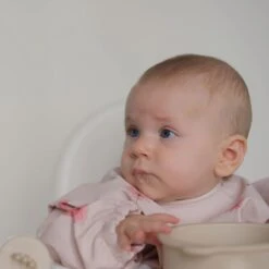 J. Børn Slabbetje Lange Mouwen Met Brede Opvangbakpe (0 - 3 Jaar) - Peuter Kliederschort - Verfschort - Baby Slabber / Schort - Mouwslab - Mouwslabber (Safari) -BIBS Shop 1200x1200 69