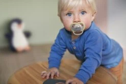 Philips Avent Ultra Air SCF085/17 - Fopspeen - 6 Tot 18 Maanden - 2 Stuks -BIBS Shop 1200x800 125