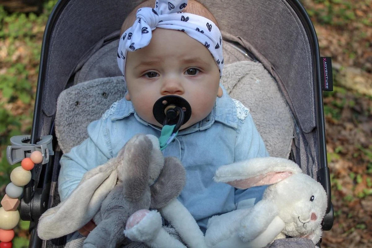 MijnNami Speenknuffel Konijntje En Soother Speen - Afneembaar Speentje - BPA Vrij 4 MijnNami Speenknuffel Konijntje En Soother Speen - Afneembaar Speentje - BPA Vrij - Afbeelding 2