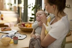 Philips Avent Soothie SCF099/22 - Fopspeen - 0-6 MAANDEN - 2 Stuks -BIBS Shop 1200x800 142