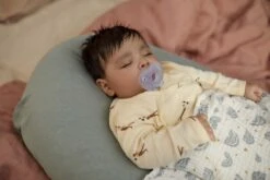 Philips Avent Soothie SCF099/22 - Fopspeen - 0-6 MAANDEN - 2 Stuks -BIBS Shop 1200x800 143