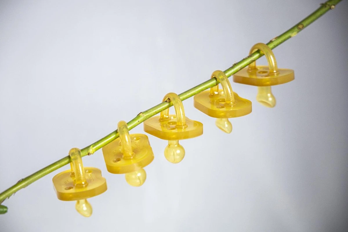 Dupini 100% Natuurrubber Speen/fopspeen - Round Maat L 4 Dupini 100% Natuurrubber Speen/fopspeen - Round Maat L - Afbeelding 2