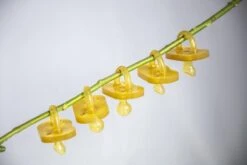 Dupini 100% Natuurrubber Speen/fopspeen - Orthodontic Maat M 18 Dupini 100% Natuurrubber Speen/fopspeen - Orthodontic Maat M -BIBS Shop 1200x800 155