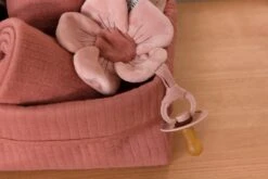 Little Dutch - Flowers & Butterflies - Speendoekje -BIBS Shop 1200x800 203