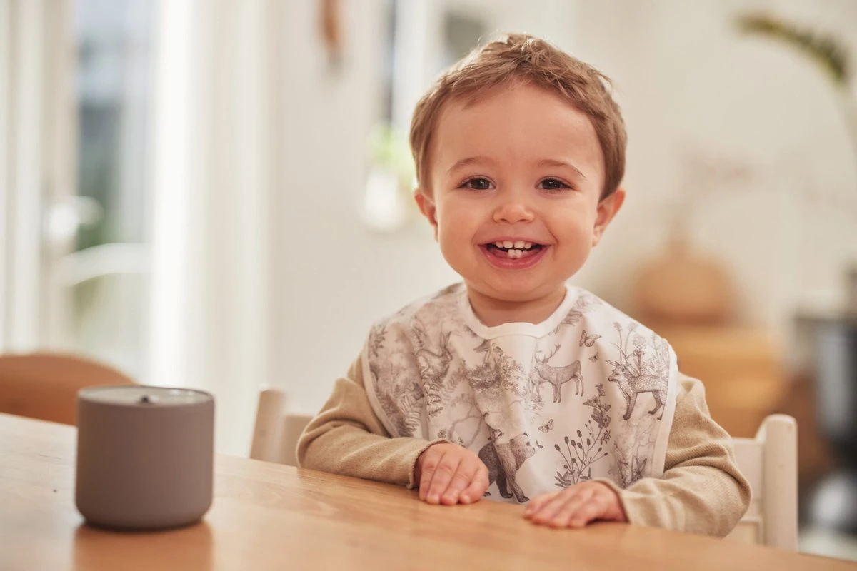 Jollein Slab Waterproof Pimpelmees - Forest Animals - 2 Stuks 14 Jollein Slab Waterproof Pimpelmees - Forest Animals - 2 Stuks - Afbeelding 12