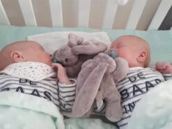 MijnNami Speenknuffel Konijntje Zonder Speen - Afneembaar Speentje - BPA Vrij 17 MijnNami Speenknuffel Konijntje Zonder Speen - Afneembaar Speentje - BPA Vrij -BIBS Shop 1200x900 57