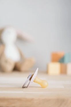 BIBS Fopspeen - Maat 2 (6-18 Maanden) - 4 Stuks - Lilac, Peach, Woodchuck En Ivory -BIBS Shop 799x1200 25