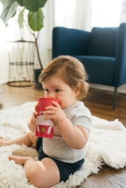 Dr. Brown's Dr Brown's - Cheers 360° Drinkbeker - 9+ Maanden - Rood - 300ml 13 Dr. Brown's Dr Brown's - Cheers 360° Drinkbeker - 9+ Maanden - Rood - 300ml -BIBS Shop 801x1200 48