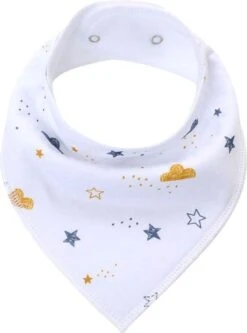 6 Stuks - Bandana Kwijl Slabbetjes - Strepen Skateboard - Waterproof – Fleece -BIBS Shop 890x1200 1