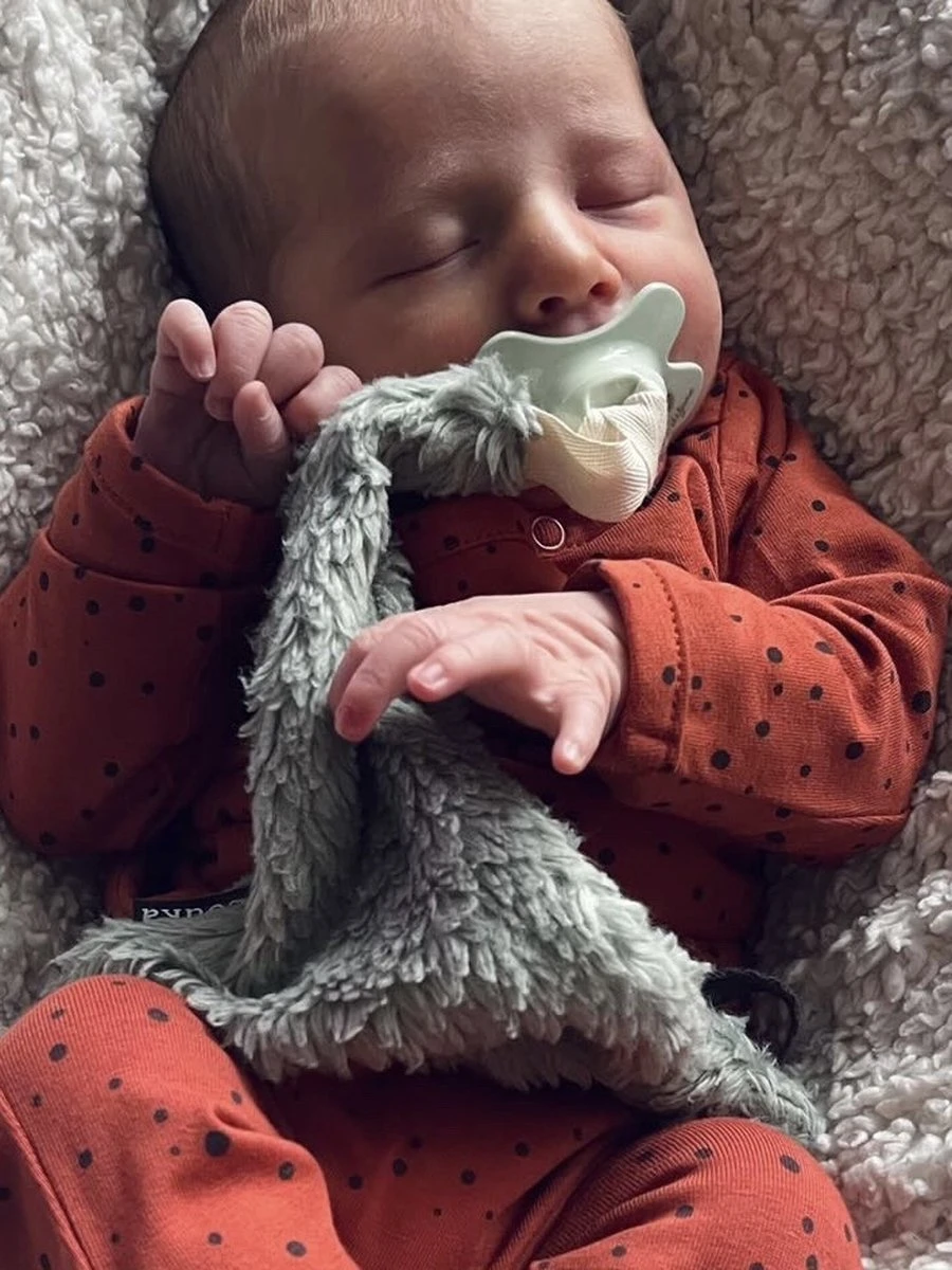 Louka Speendoekje Driehoek Teddy Groen - Teddy Katoen - Speenknuffel - Excl. Bibs Speen 5 Louka Speendoekje Driehoek Teddy Groen - Teddy Katoen - Speenknuffel - Excl. Bibs Speen - Afbeelding 3