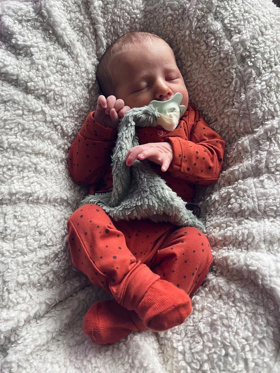 Louka Speendoekje Driehoek Teddy Groen - Teddy Katoen - Speenknuffel - Excl. Bibs Speen 4 Louka Speendoekje Driehoek Teddy Groen - Teddy Katoen - Speenknuffel - Excl. Bibs Speen - Afbeelding 2